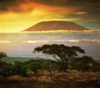 Cheap Flights to Kenya